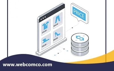 قیمت نرم افزار پخش مویرگی